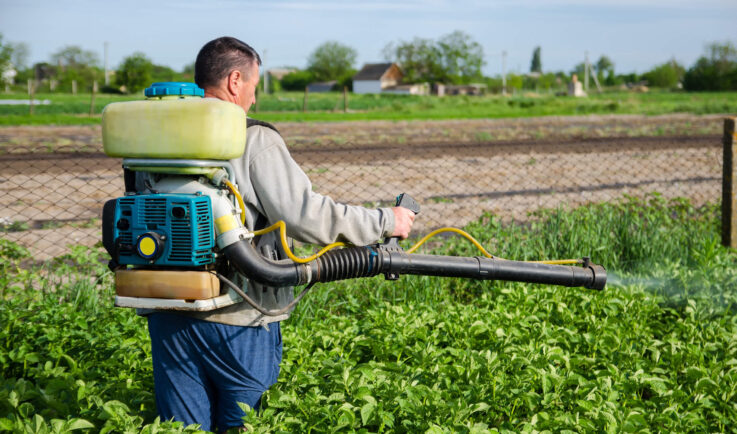 Pest control in hydroponic agriculture