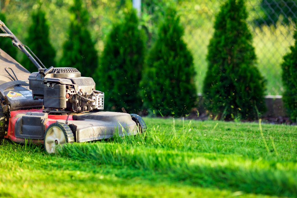 Getting Started with Lawn Care: The Basics