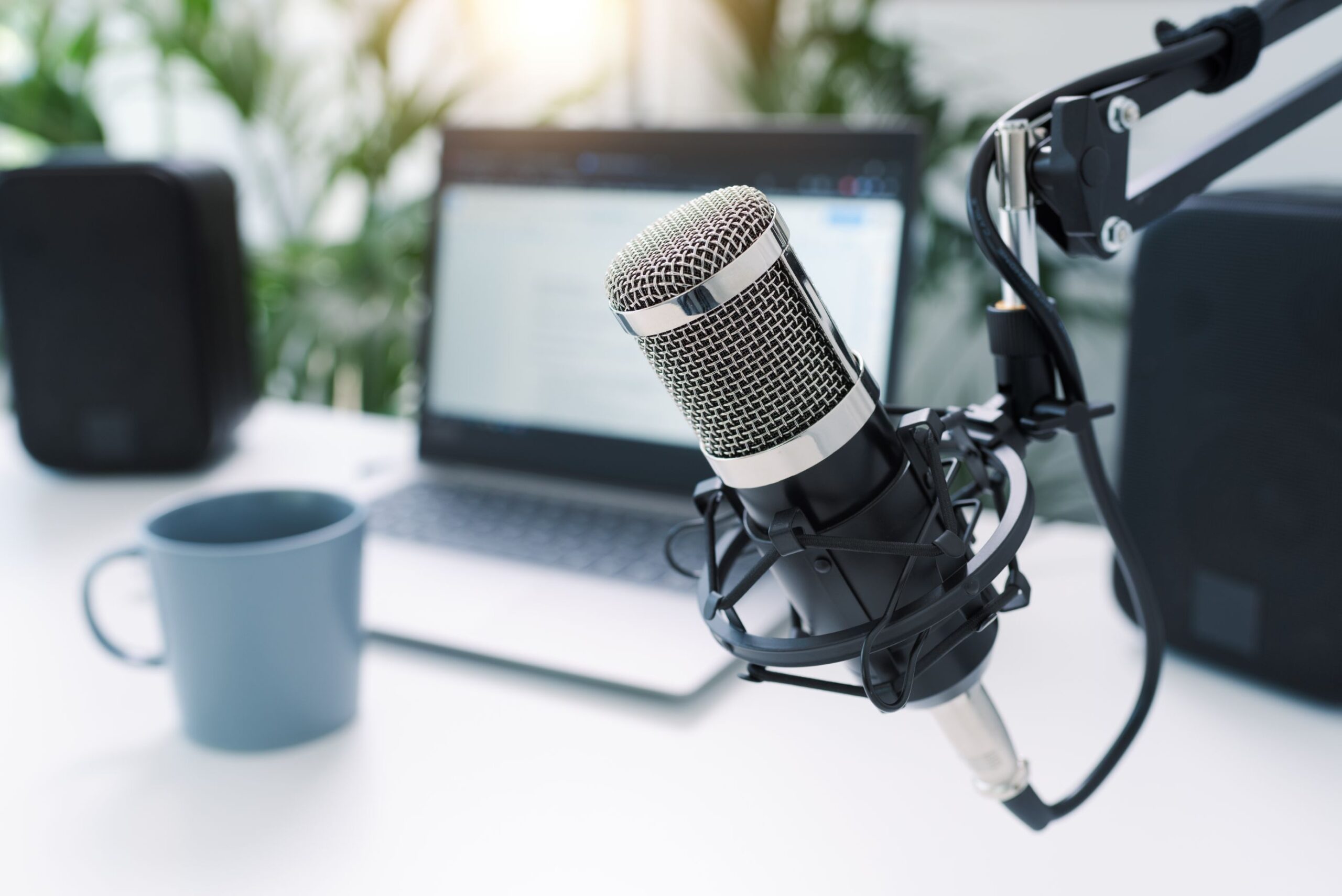 Breaking down the advancements in voice translation technology